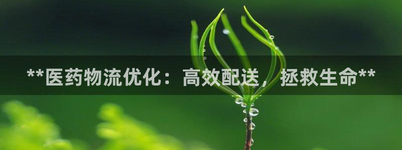 九游会登不上
