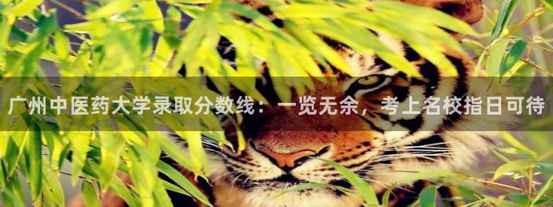 j9.com