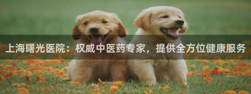 ag改九游会