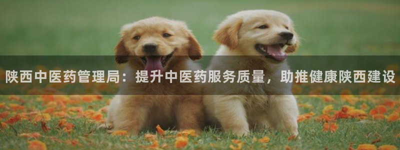 九游会集团币圈