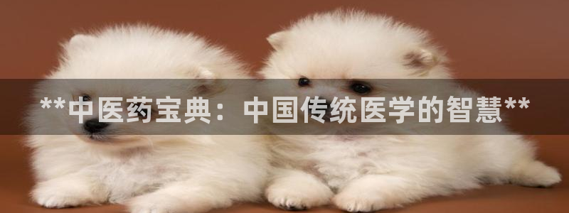 ag亚洲国际游戏九游会