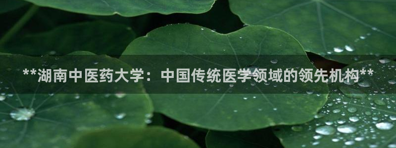 九游会平台王一博泰国