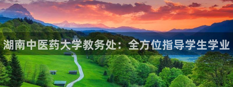 九游会平台j9