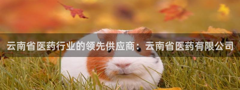 ag九游会论坛