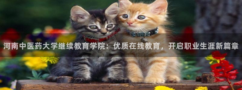 九游会ag官方网站在哪