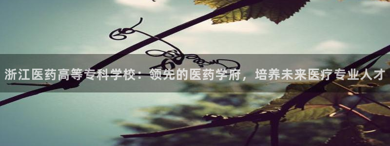 ag老玩家