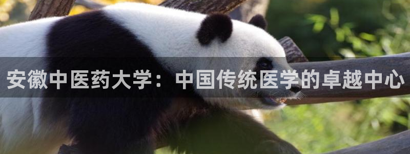 九游会app下载版官网正版手游