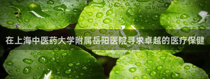 j9游会真人游戏第一品牌