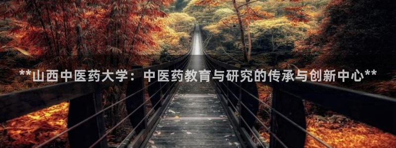 九游会是真的吗