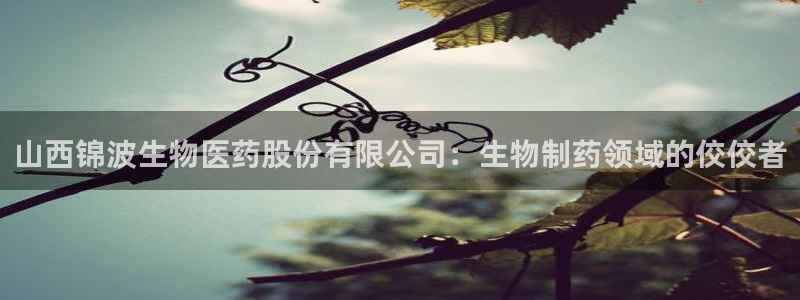 九游会集团