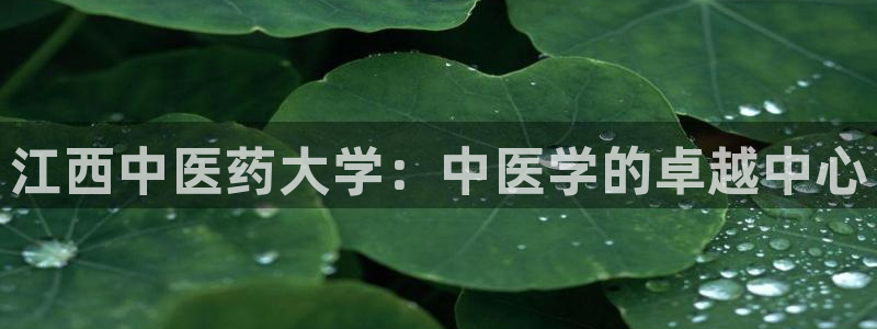 ag九游会微博