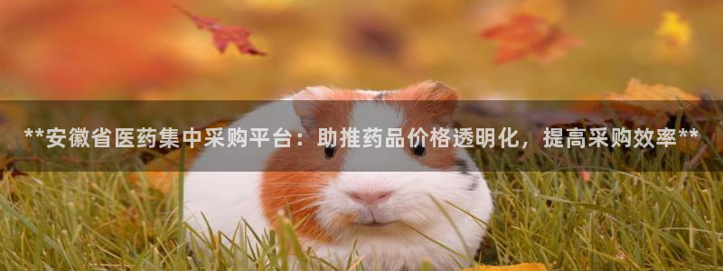 九游会官网 登录网站