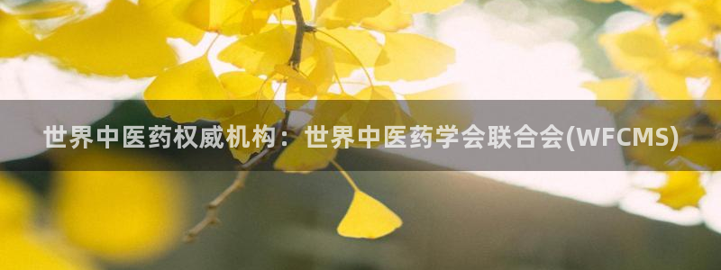 usdt九游会老哥俱乐部