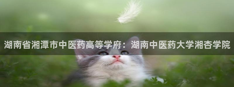 九游会老哥俱乐部
