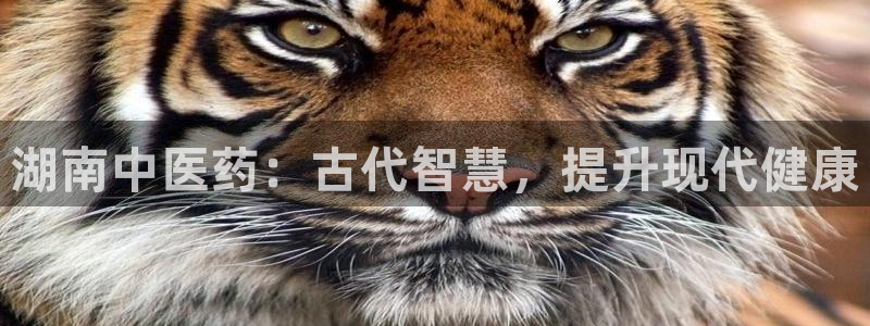 九游会官网入口ag亚洲