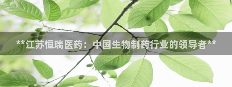 j9九游会首页入口试