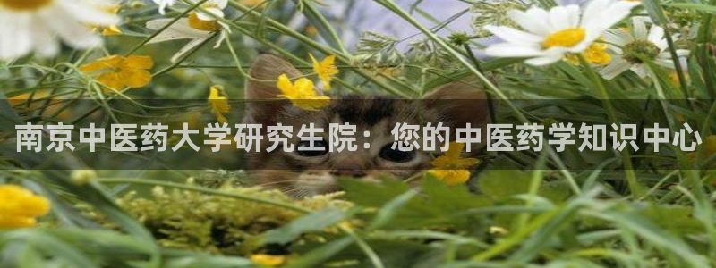九游会线上平台下架吗