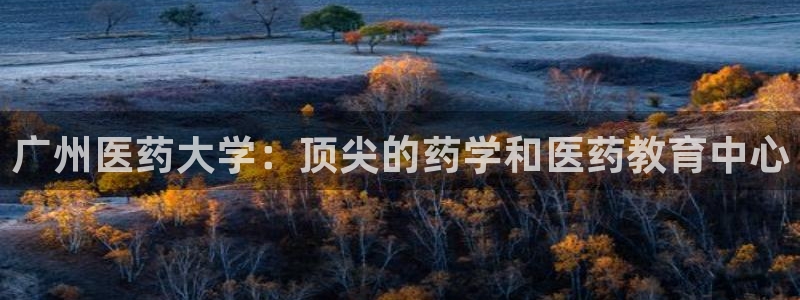 九游会在