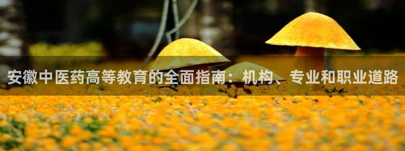 j9.cn