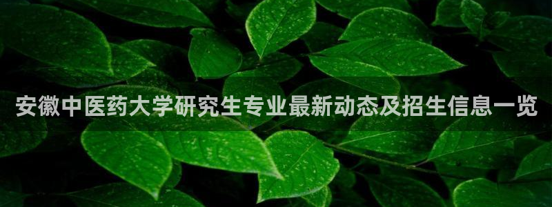 j9.cn