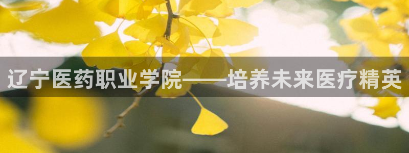 九游会ag老哥