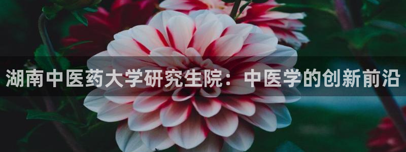九游会平台怎么样