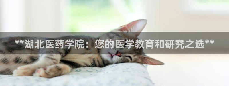 九游会官方网站登录