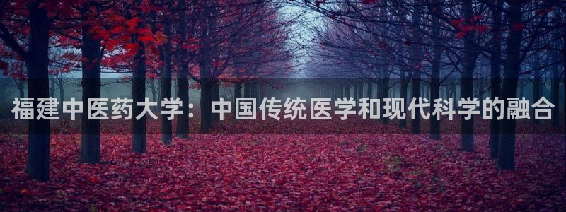 九游j9国际站