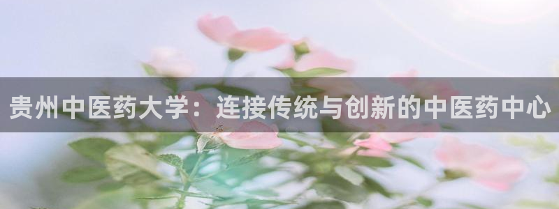j9九游会真人第一品牌