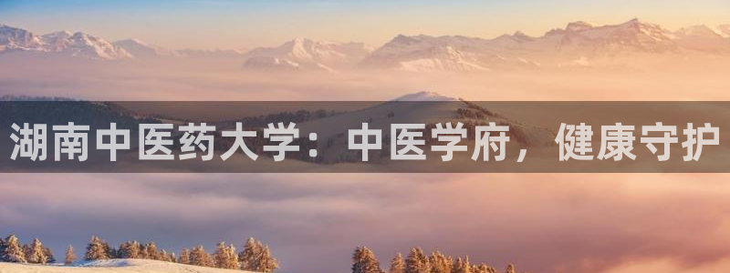 9游会网站登录