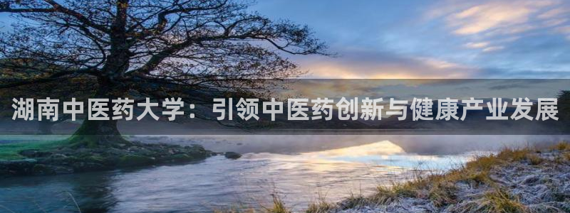 九游会软件