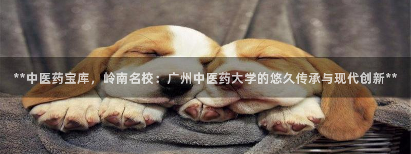j9九游会直营