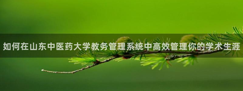九游会AG注册送388
