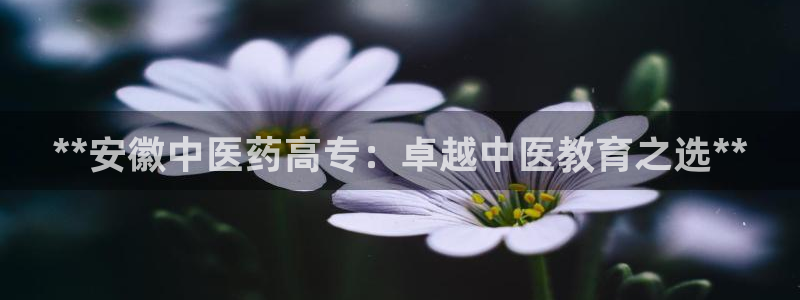 九游j9会 - 真人游戏第一品牌