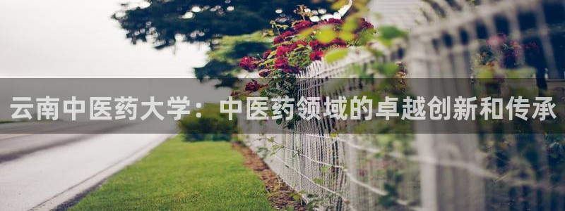 九游会老哥俱乐部官方网站