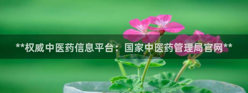 j9官网豪华游