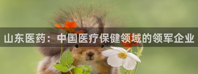 9游会ag