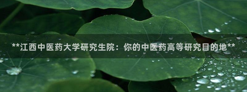 九游会ag登陆