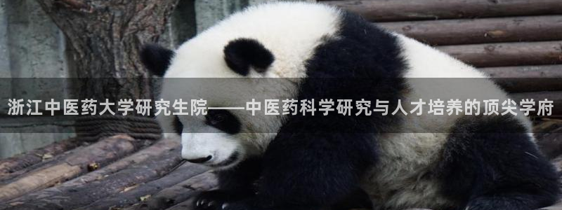 九游会app官方下载