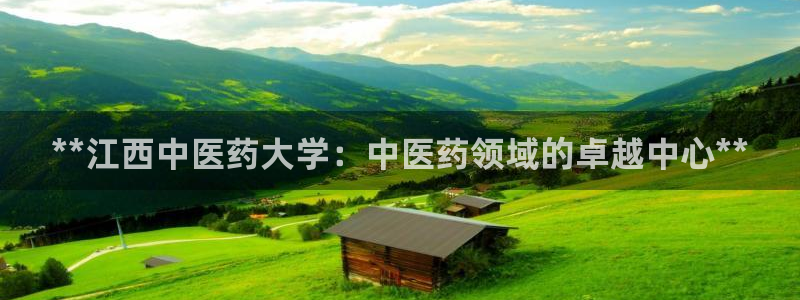 九游j9打不开