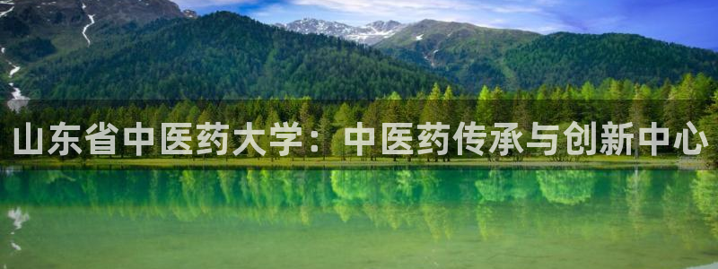 j9九游会永久域名