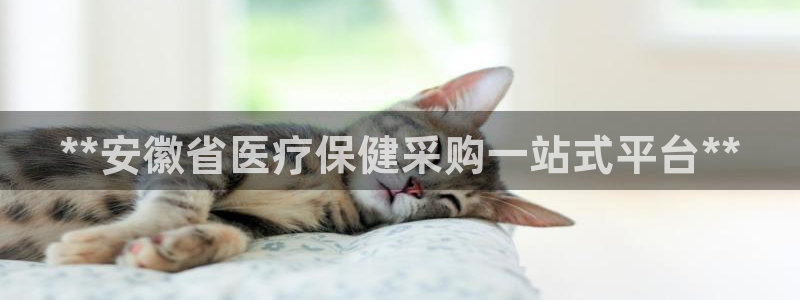 ag变成九游会