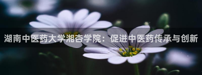 j9九游会app官方下载