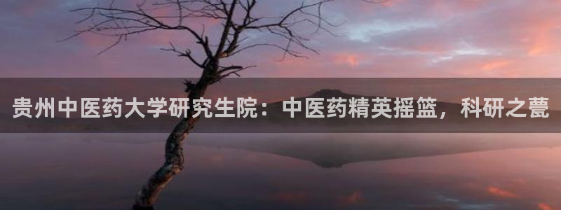 九游官网首页进入j9