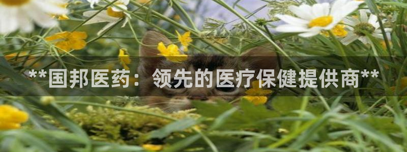 j9九游会跑路了吗