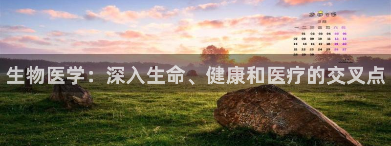 九游会首页进入