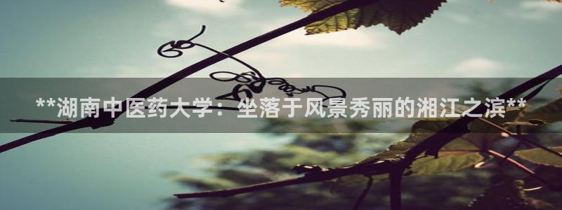 九游会登不上