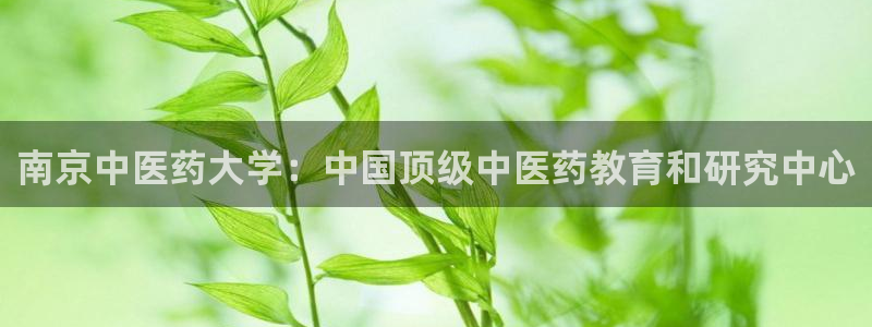 ag九游会集团