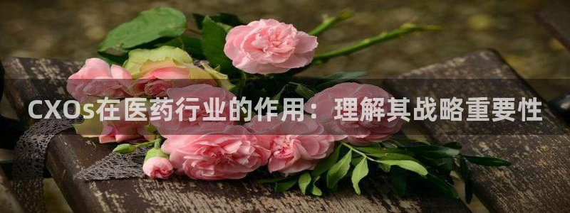 ag九游会
