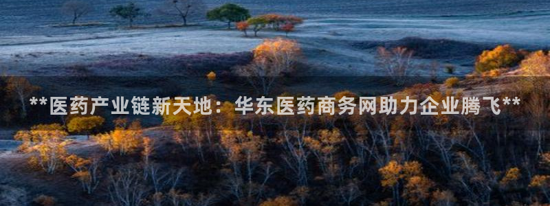 j9九游会不出款